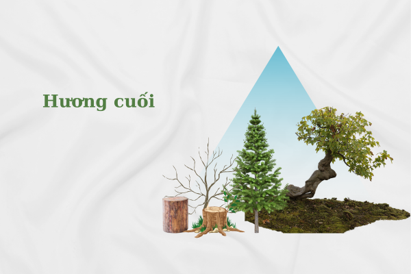 Tầng hương cuối